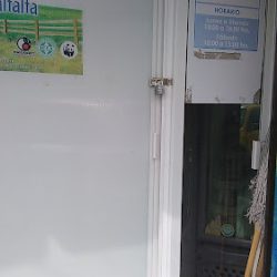 Flor De Alfalfa (Santiago de Querétaro)