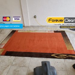 Forever Clean Limpieza Profesional (Santiago de Querétaro)