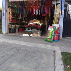 Frutas Verduras Y Semillas (Santiago de Querétaro)