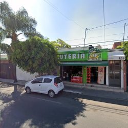 Fruteria Del Parque (Santiago de Querétaro)
