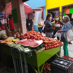 Frutería Del Rancho (Santiago de Querétaro)