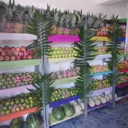 Frutería El Juguerito (Santiago de Querétaro)
