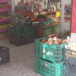 Fruteria Esparza (Santiago de Querétaro)