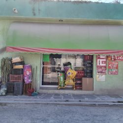 Frutería Manguitos (Santiago de Querétaro)