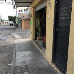 Fruteria Nico (Santiago de Querétaro)
