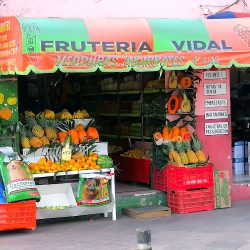 Fruteria Vidal (Santiago de Querétaro)