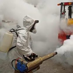 Fumigacion Y Control De Plagas Sefs (Santiago de Querétaro)