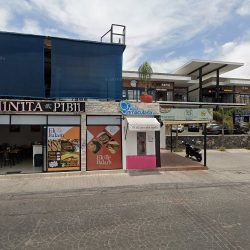 Fumigaciones De Chinches (Santiago de Querétaro)