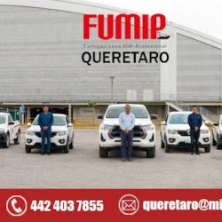 Fumigaciones Mip-Profesional (Candiles)