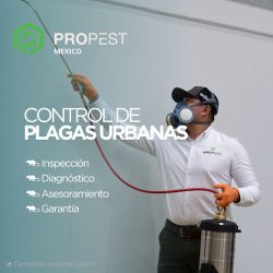 Fumigaciones Propest (Santiago de Querétaro)