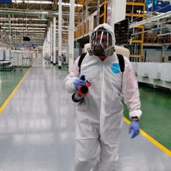 Fumigaciones Querétaro Zaidex (Santiago de Querétaro)