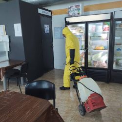 Fumigaciones Ryddex Querétaro (Santiago de Querétaro)