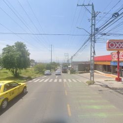Fumigaciones Tefe (Santiago de Querétaro)