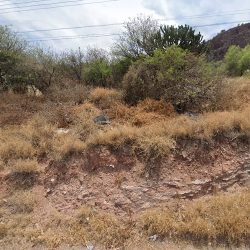 Gestoria Wenn (Santiago de Querétaro)