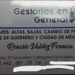 Gestorias Vehiculares Valdez (Santiago de Querétaro)