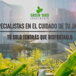 Green Yard (Santiago de Querétaro)
