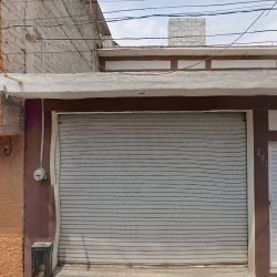 Hit Control Fumigaciones (Santiago de Querétaro)