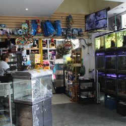 Hobbisimo Veterinaria Y Acuario (Santiago de Querétaro)