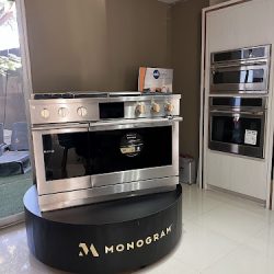Homea (Santiago de Querétaro)