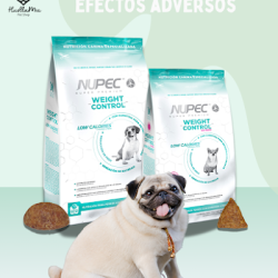 Huellamía Petshop (Santiago de Querétaro)