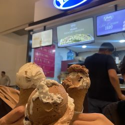 Husky's Ice Cream (Santiago de Querétaro)