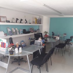 Ibiza Travel (Santiago de Querétaro)
