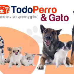 Importadora Y Comercializadora Todo Animal Accesorios Y Alimentos Para Mascotas (Santiago de Querétaro)
