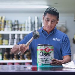 Incusa, Pinturas Osel (Ejercito Rep.) (Santiago de Querétaro)
