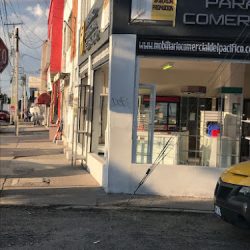 Inmovilario Comercial Del Pacifico (Santiago de Querétaro)