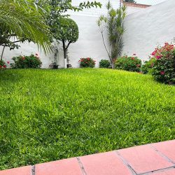 Jardinería Berakah (Santiago de Querétaro)