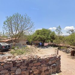 Jardineria Los Cuñados (El Jaral)