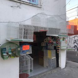 Jaulas America (Santiago de Querétaro)