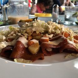 Josefa Cafe Y Bistro - Downtown (Santiago de Querétaro)