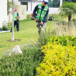 Kayco Jardinería (San Juan del Río)