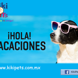 Kikipets (Santiago de Querétaro)