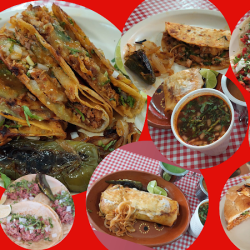 La Barqueñita Taqueria (Birria) (Santiago de Querétaro)