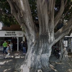 La Güera Tacos Y Gorditas De Guisos (Santiago de Querétaro)