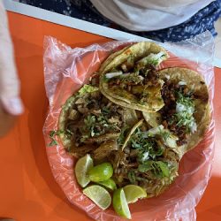 La Josefa Taquería (Santiago de Querétaro)
