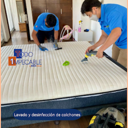 Lavado De Salas Tapetes Y Colchones Todo Impecable (Santiago de Querétaro)