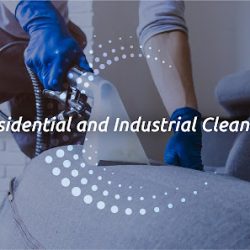 Lavado Profundo De Muebles, Alfombras Y Tapicerías. - Cleanic (Santiago de Querétaro)