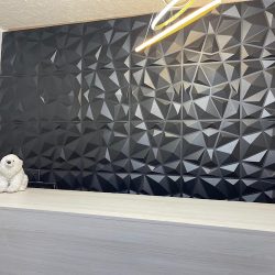 Lavandería Y Planchaduria Polar (Santiago de Querétaro)