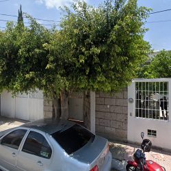 Limantiz Jardinería (Santiago de Querétaro)