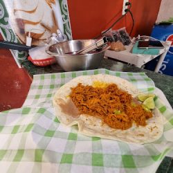 Los Burritos De Andalasia (Santiago de Querétaro)