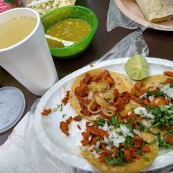 Los Gusanos De Chucho Oficial (Santiago de Querétaro)