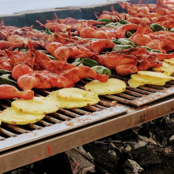 Los Pinche Pollos (Santiago de Querétaro)