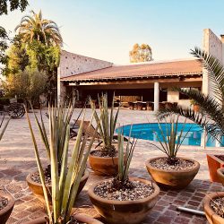 María Y Bernardo Casa - Viñedo (Calamanda)