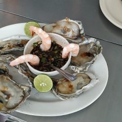 Mariscos El Cuñao Plaza De Toros (Santiago de Querétaro)