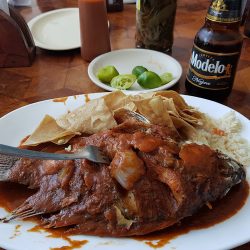 Mariscos El Tiburón (Santiago de Querétaro)