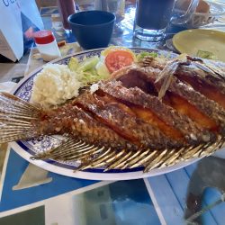 Mariscos La Peña (Santiago de Querétaro)