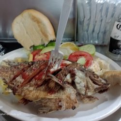 Mariscos Las Perlitas (Santiago de Querétaro)